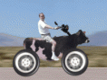 /album/animacie-/a12939-gif/