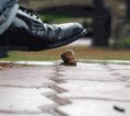 /album/animacie-/a12952-gif/