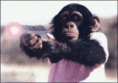 /album/animacie-/dcdc53697c-37068605-o2-gif/