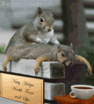 /album/animacie-/image001-gif/